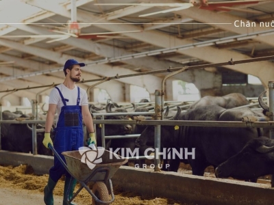 TÌM HIỂU VỀ CHĂN NUÔI THEO HƯỚNG BỀN VỮNG HIỆN NAY