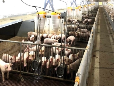 Chuyển Đổi Số, Người Nông Dân Khỏe
