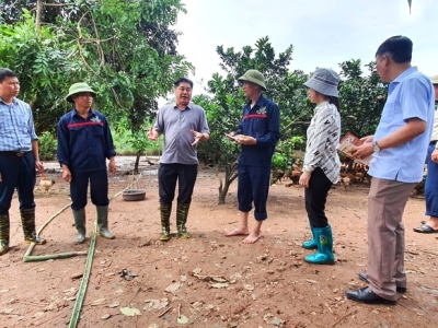 Nâng cao sức đề kháng vật nuôi sau bão lũ
