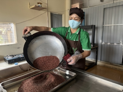 Khởi Nghiệp Từ Nông Nghiệp Sạch
