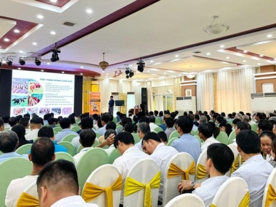 Chia sẻ kiến thức chăn nuôi tại chuỗi hội thảo đầu bờ Vietstock 2024