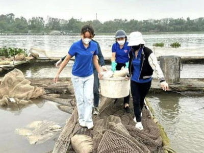Cá chết hàng loạt ở Hải Dương, người nuôi cá lồng chịu thiệt hại