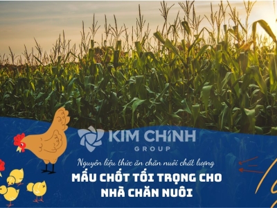 Các Loại Thức Ăn Phổ Biến Cho Gia Cầm