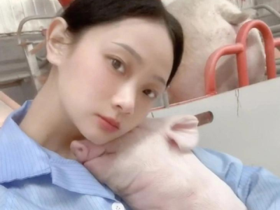 Trở thành hiện tượng mạng nhờ về quê nuôi heo