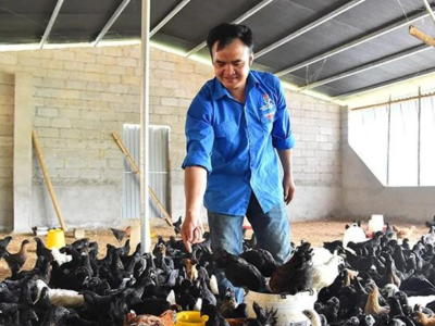 Xây dựng cơ sở, vùng chăn nuôi an toàn dịch bệnh