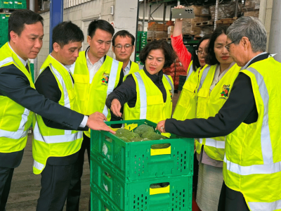 Chủ tịch UBND tỉnh Triệu Thế Hùng xúc tiến thương mại và đầu tư tại New Zealand