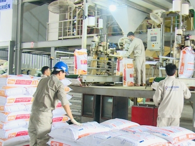Nhà máy sản xuất thức ăn chăn nuôi Kim Chính: Áp dụng 5S trong sản xuất