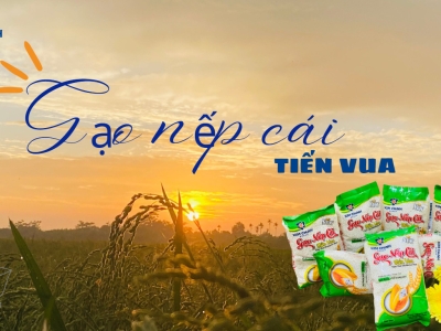 Gạo nếp cái hoa vàng Kinh Môn: Giá trị và thương hiệu