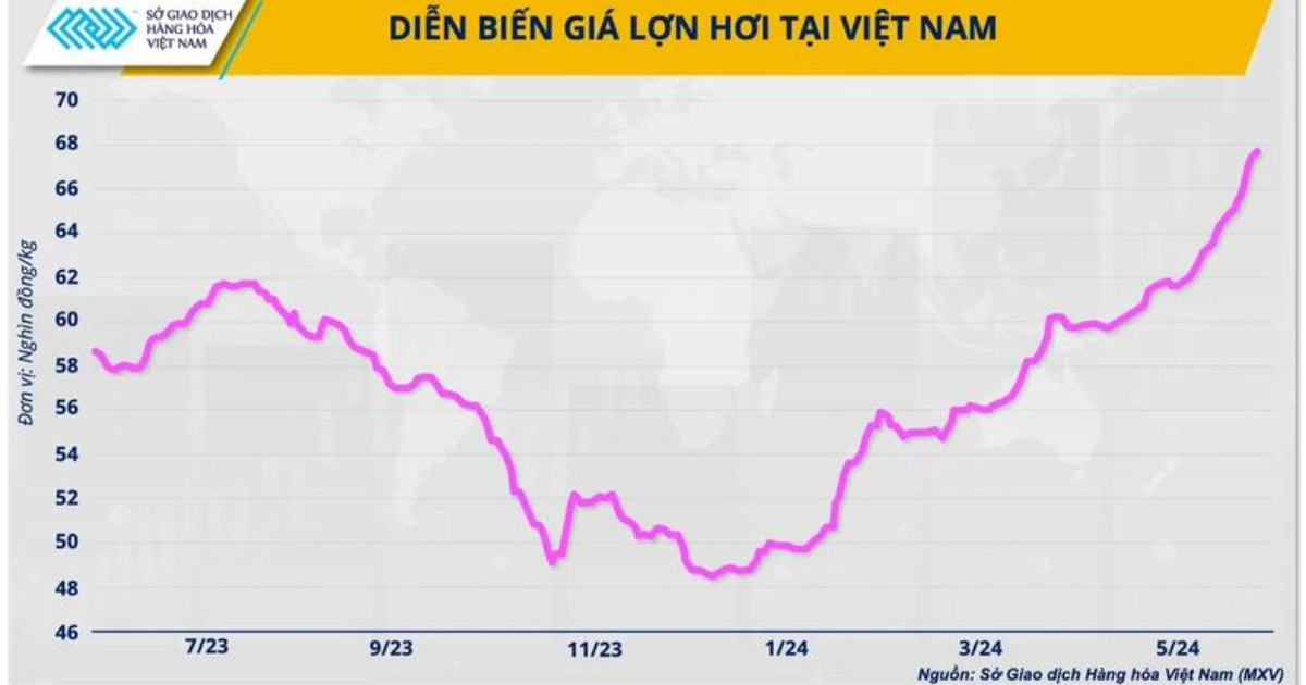 Diễn biến giá Lợn tươi Việt Nam