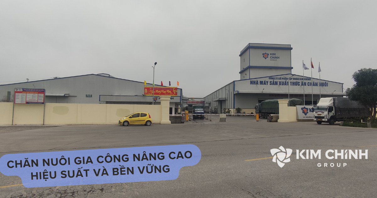 Nhà máy sản xuất thức ăn chăn nuôi Kim Chính