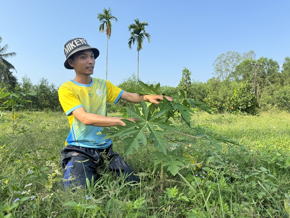 Anh Trịnh Duy Phương chọn khởi nghiệp nông nghiệp sạch theo hướng xây dựng nông trại trải nghiệm.