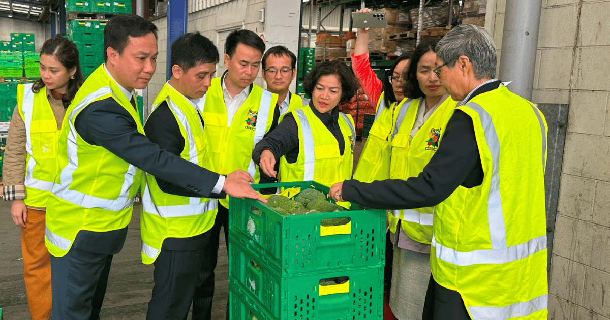 Đoàn công tác của tỉnh Hải Dương thăm mô hình bảo quản và xuất khẩu sản phẩm nông sản tại doanh nghiệp của New Zealand