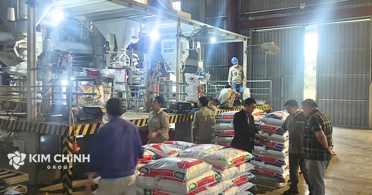 Hệ thống băng tải và đóng gói nhà máy sản xuất thức ăn chăn nuôi Kim Chính.