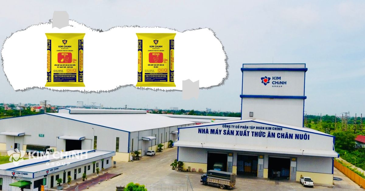 Nhà máy sản xuất thức ăn chăn nuôi Kim Chính tại KCN Đồng Lạc - Nam Sách - Hải Dương