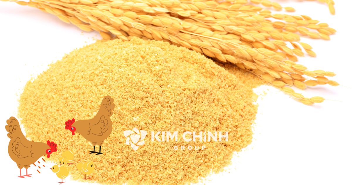 Cám gạo là loại thức ăn tự nhiên và phổ biến cho gia cầm.