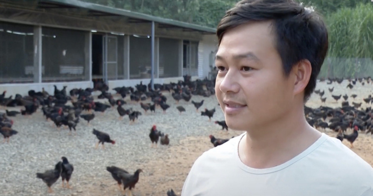Ông Phạm Văn Quyết, thôn Cốc Sâm 4, xã Phong Niên (Bảo Thắng, Lào Cai) chia sẻ kinh nghiệm nuôi gà áp dụng cho ăn, uống tự động.